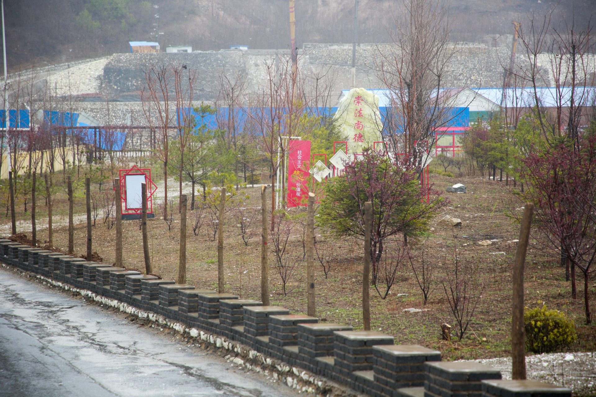 位于鞍山岫岩岭镇小偏岭村后大沟无主排岩场复绿治理项目现场内生机
