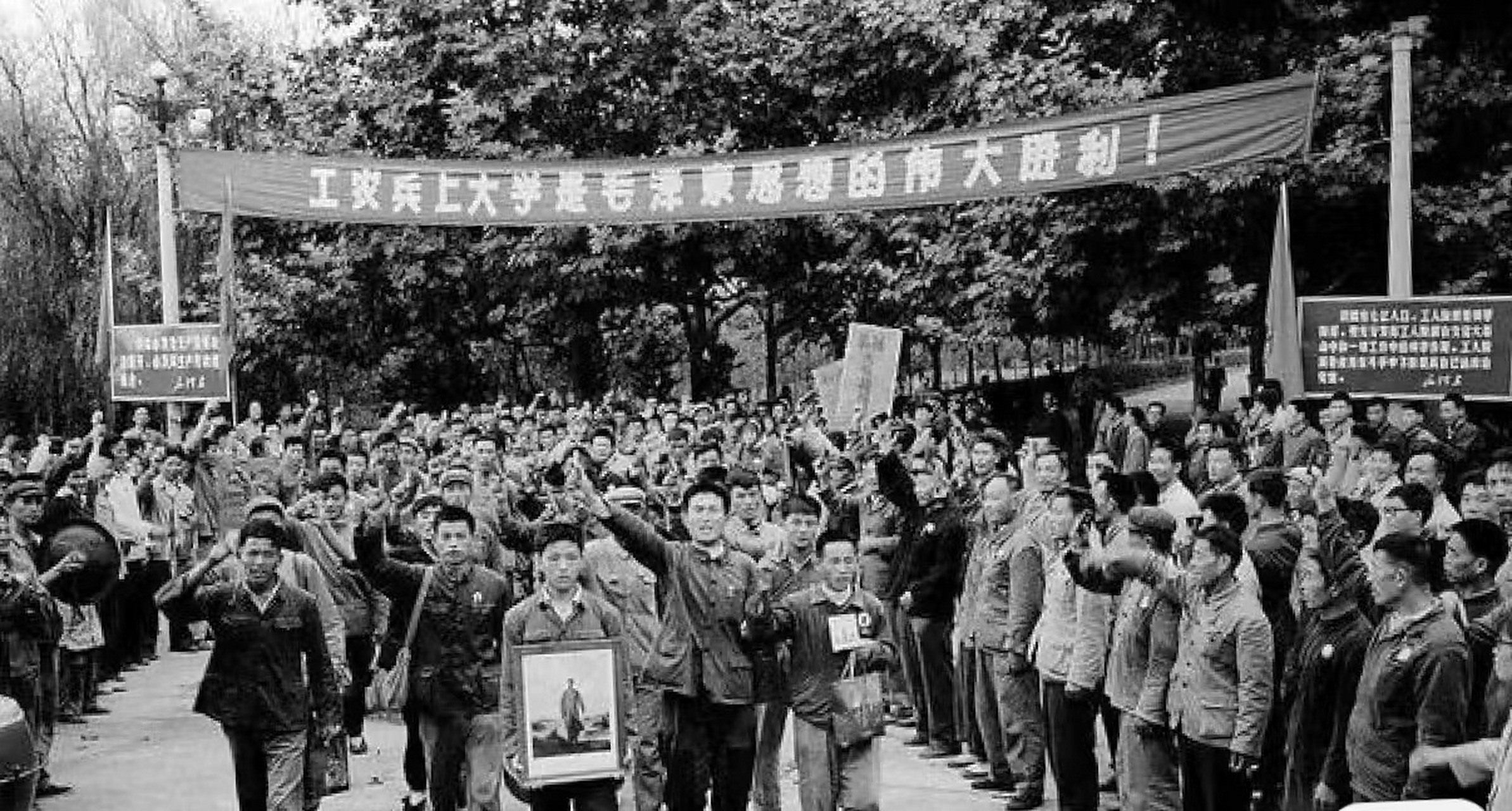 1977年恢复高考,在街上庆祝的青年们,一个个热血沸腾,渴望着更广阔的