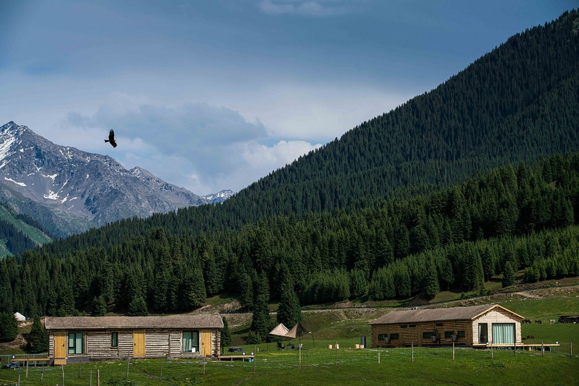青空冀翼民宿·新疆伊犁 海拔2000米游牧民族村落,伊犁最后的秘境.
