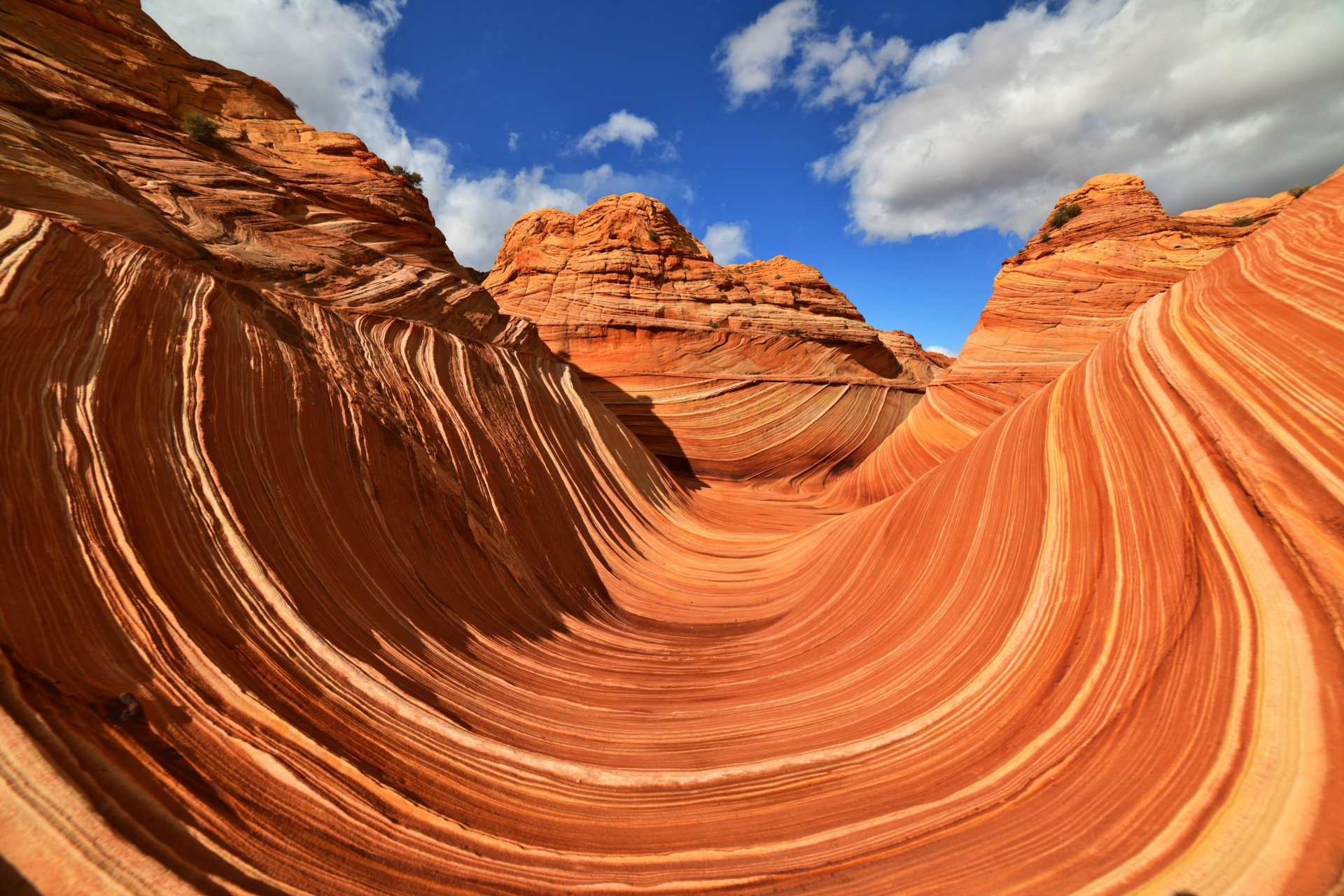 美国波浪谷一景