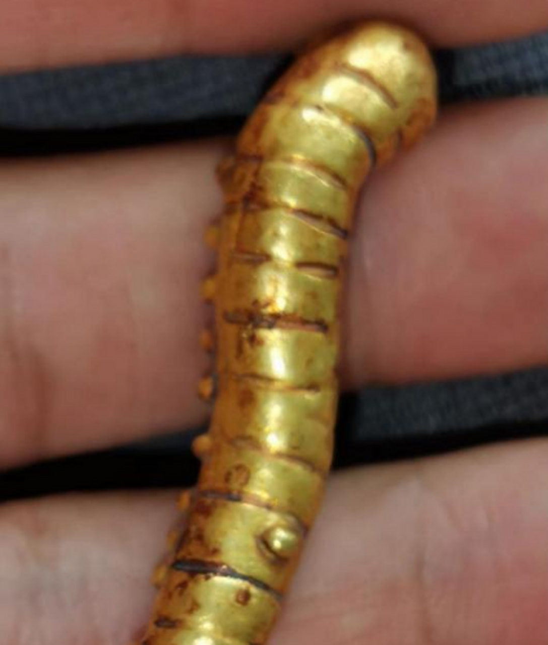 还是第一次见用金子做的毛毛虫呢