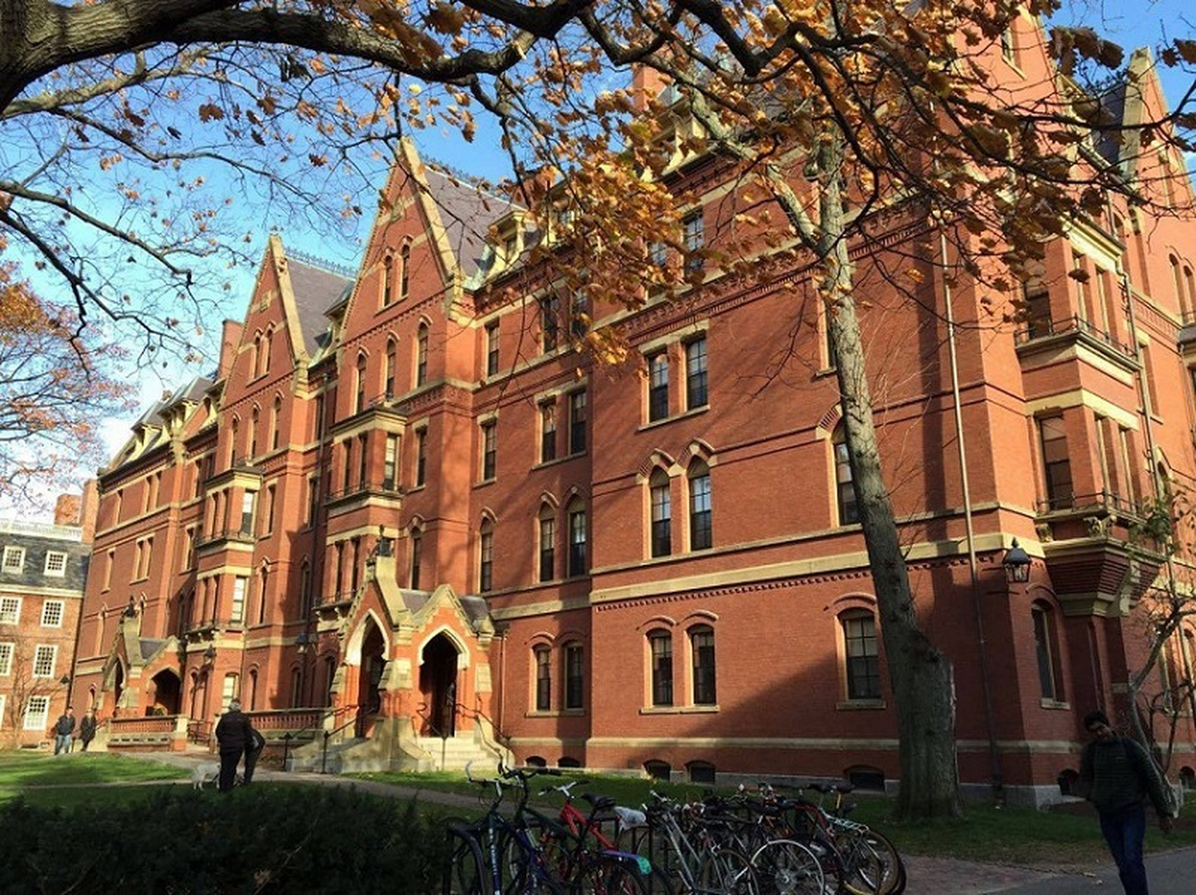 哈佛大学学者论文数据造假#  学术造假严重违背研究