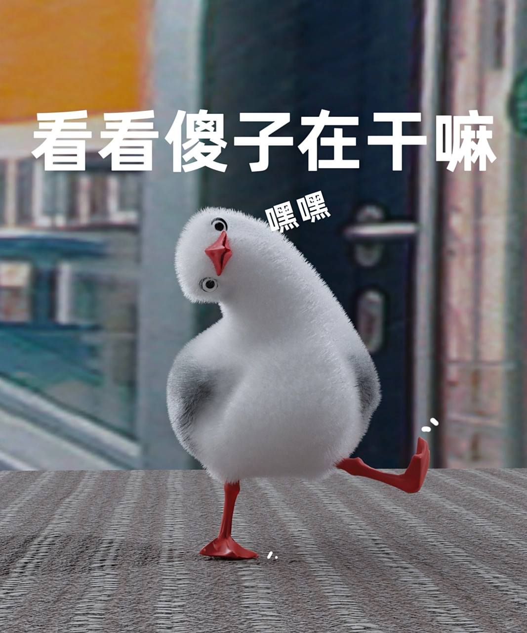 海鸥老六表情包|看看傻子在干嘛