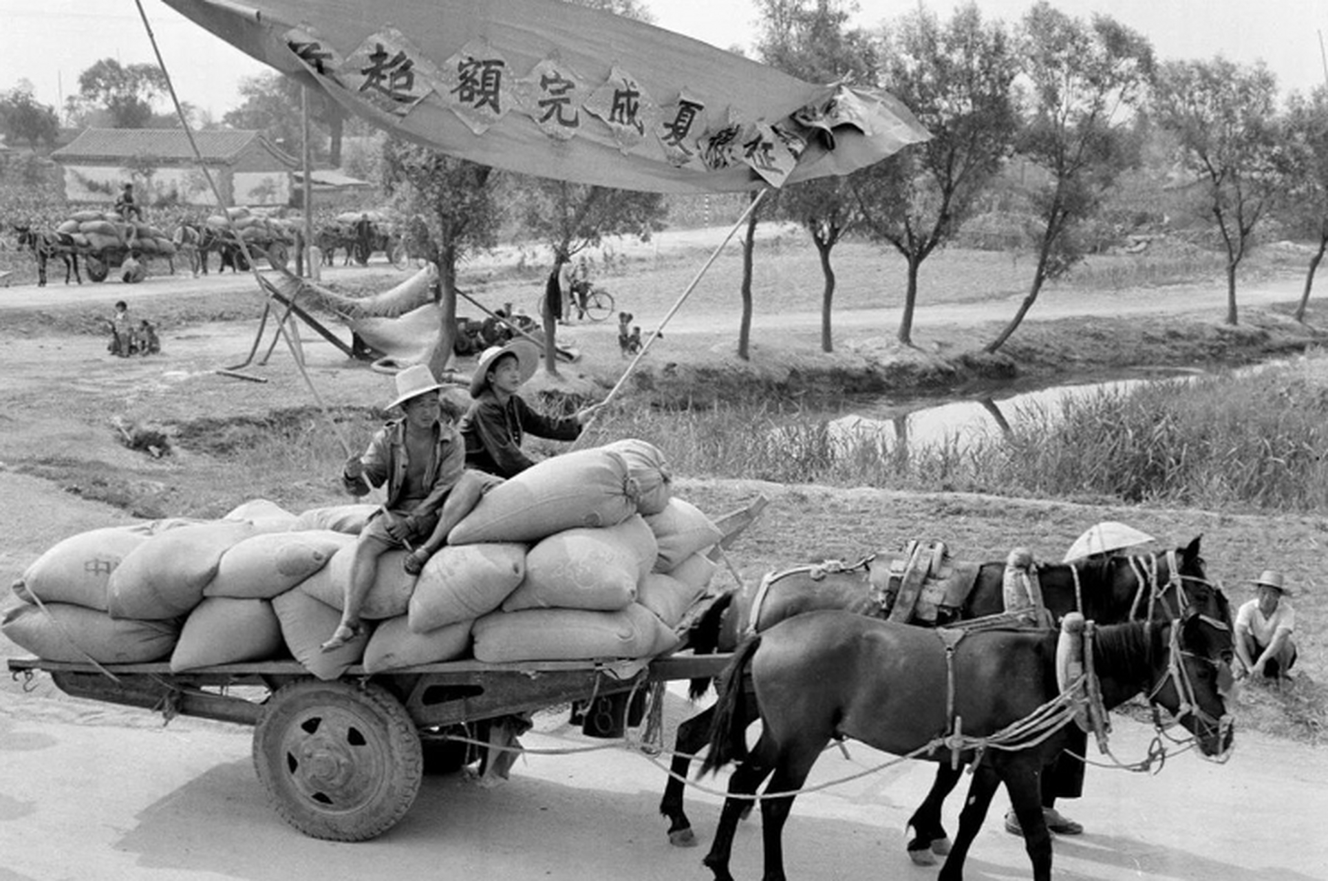 80年代,趕馬車交公糧的農民.