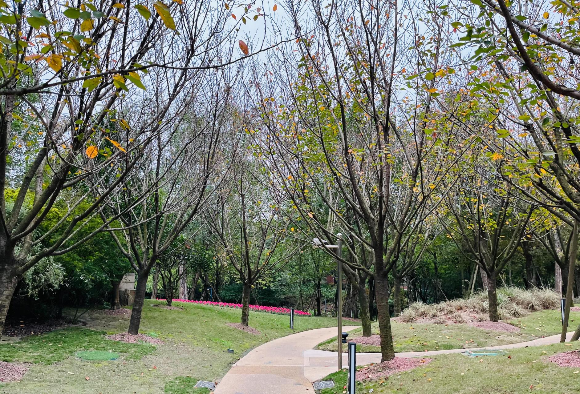 有多少人听说过成都的红石公园?