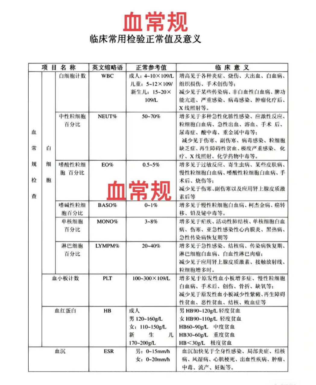 血常规,血检肝功能,肾功能,电解质,血脂,凝血指标,甲状腺功能,尿常规