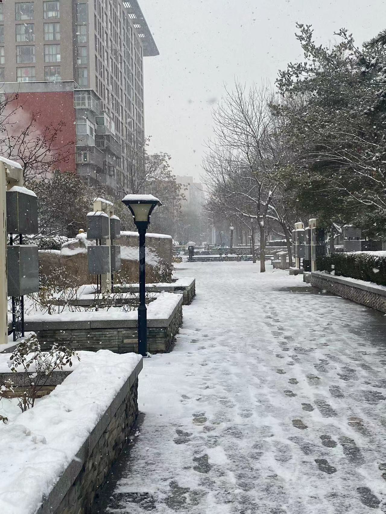 今天北京又下雪了很多朋友说为什么我走路之后会腿疼不舒服