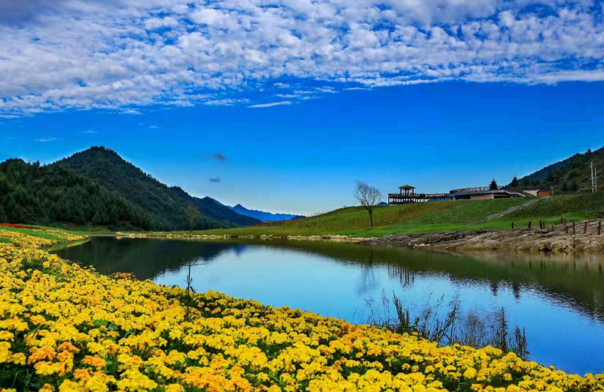 说到巫溪,就不得不说红池坝,红池坝海拔1800以上,被称为云中花海,一年