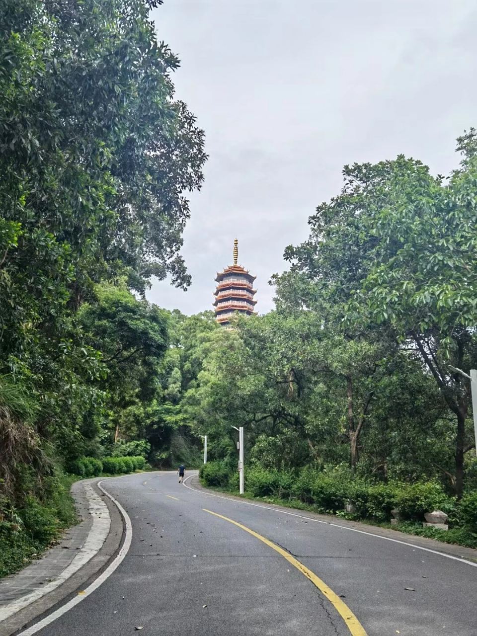 江门白水带龙光塔  江门白水带龙光塔位于广东省江门市江海区白水带