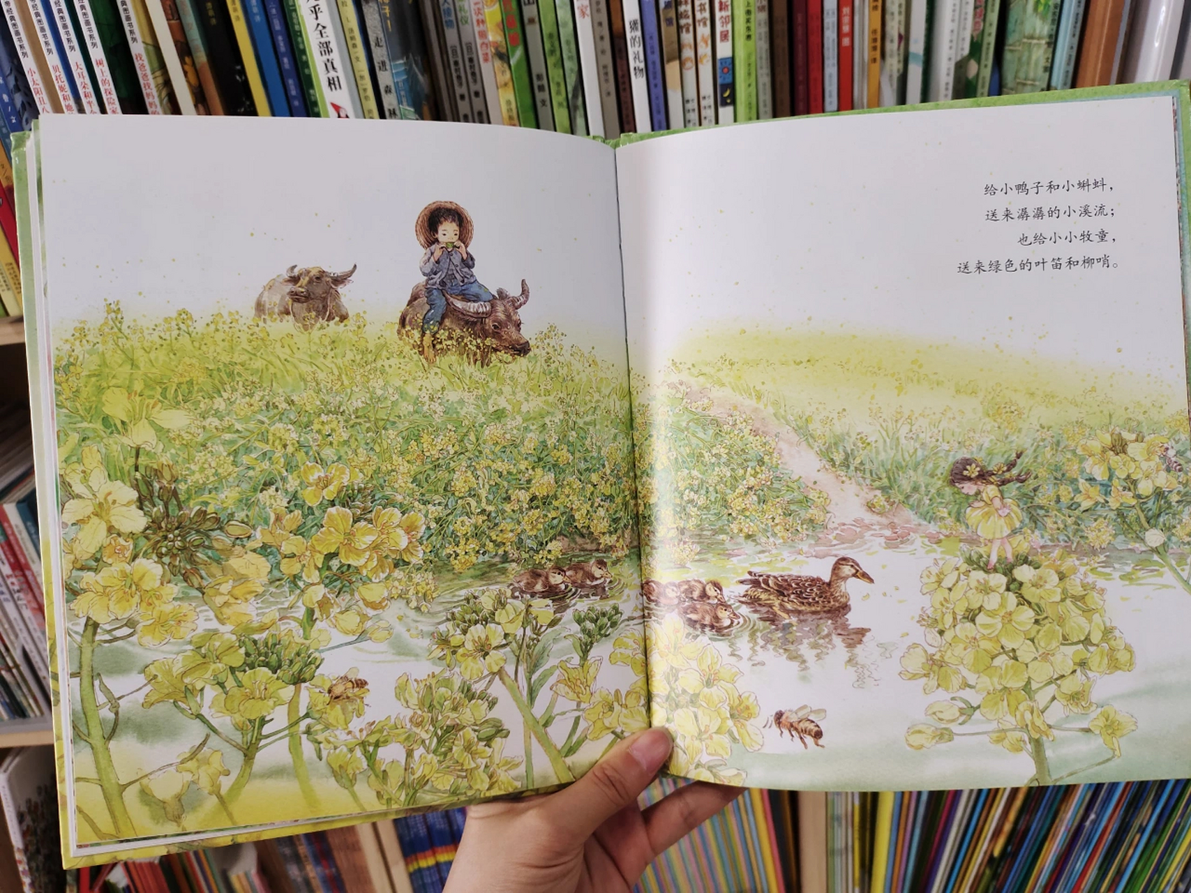 绘本推荐《迎春花开了》 很久很久以前,花神召集所有的花草,商量花在