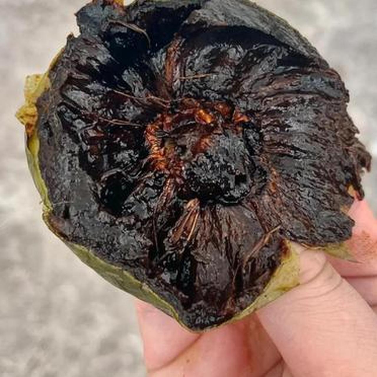 巧克力果,有人吃过吗
