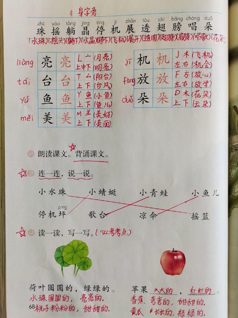 一年级语文下册第12课《荷叶圆圆》重点: 1,背诵课文,常考连线,填空 2