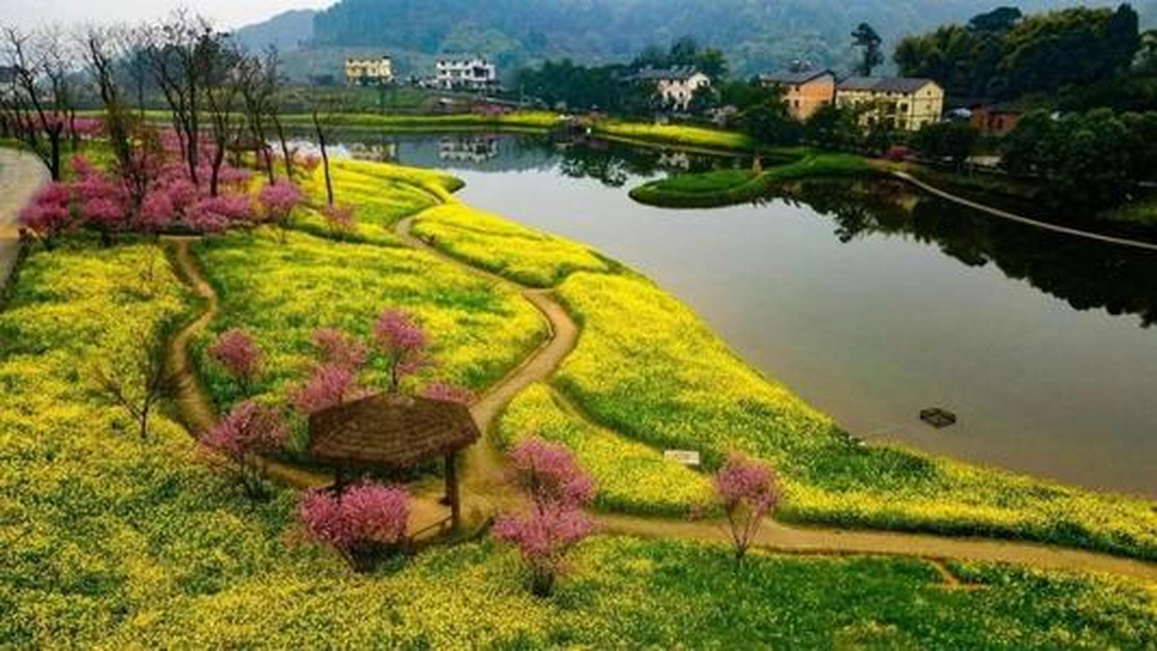 开启新旅程#天坪山云林天乡依托巴南区二圣镇集体村,是全国五个生态