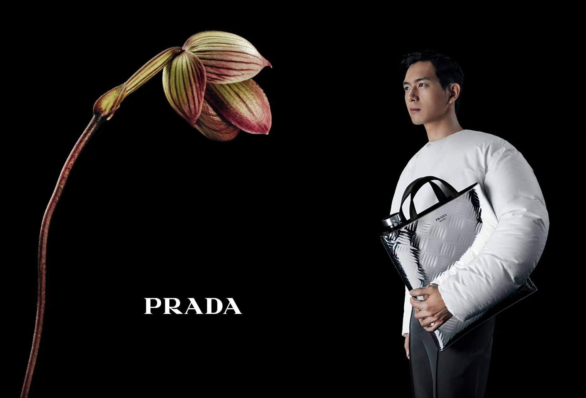 内娱明星出镜大牌2023 秋冬广告大片李现 prada 赵今麦 miu miu