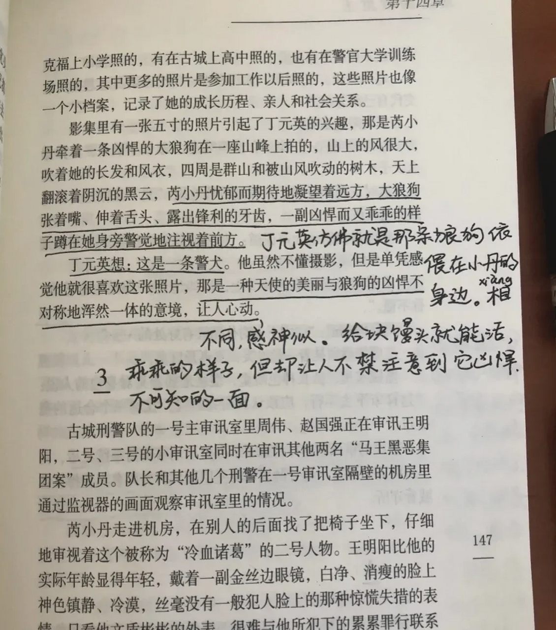 网传豆豆背后有一位高人叫李红英,我不知道,我也并不想探究真伪,这不