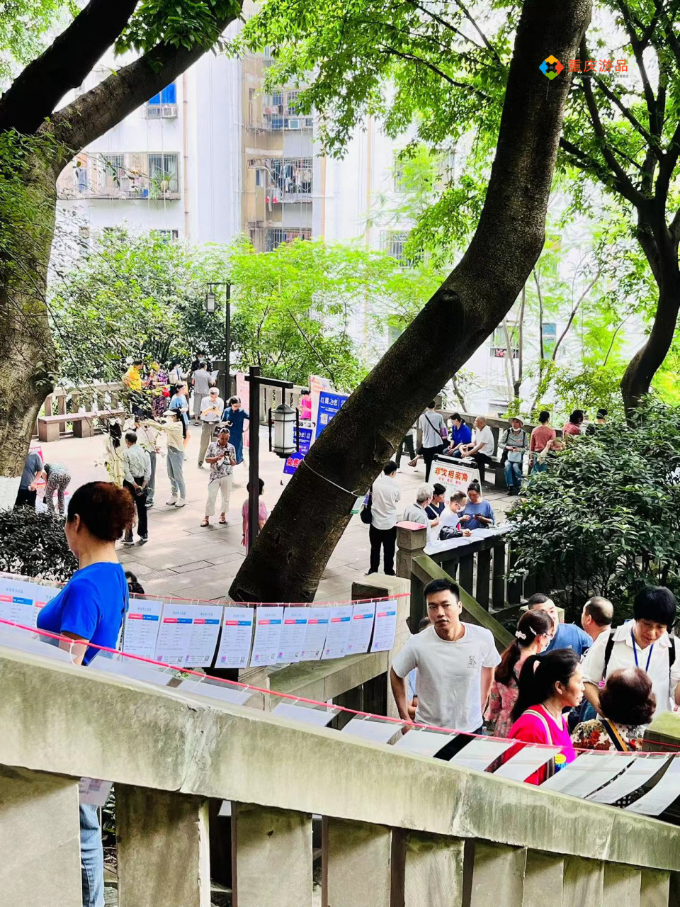 建议大家在周末来重庆人民公园乘凉,这里绿树成荫,亭台错落,不仅