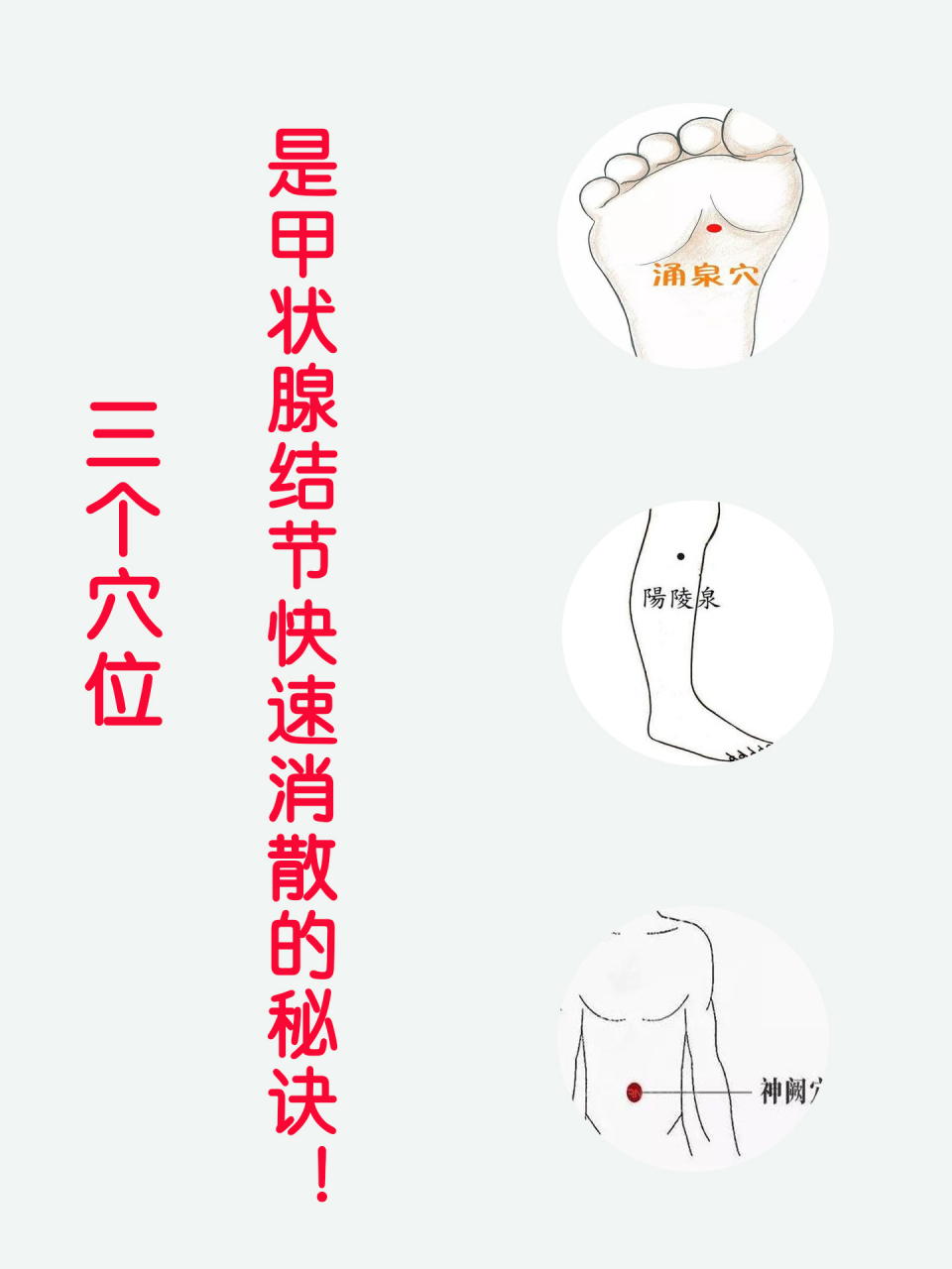 三个穴位,是甲状腺结节快速消散的秘诀!