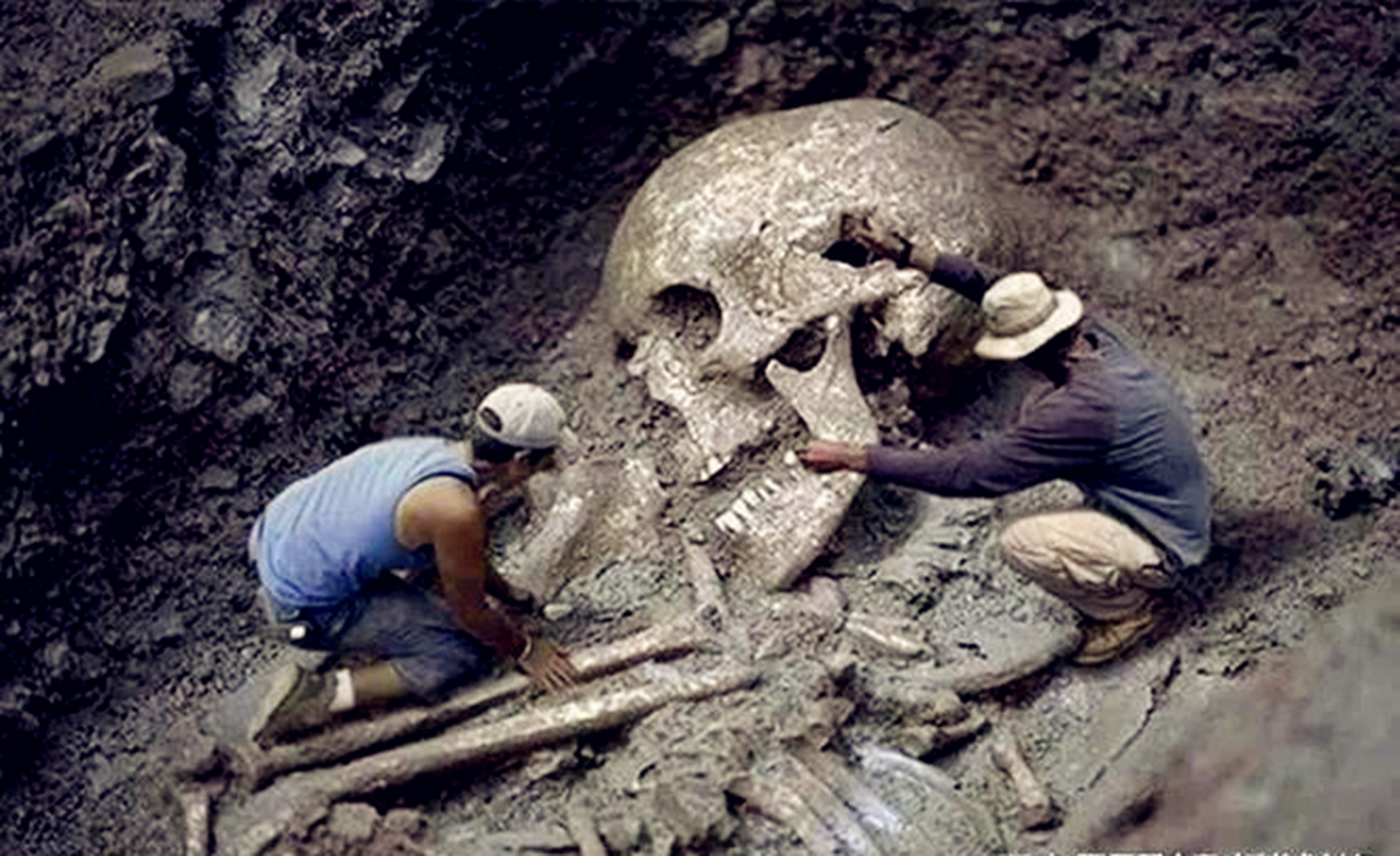 1950年,土耳其出土巨人骸骨化石,身高约为4.2-4.