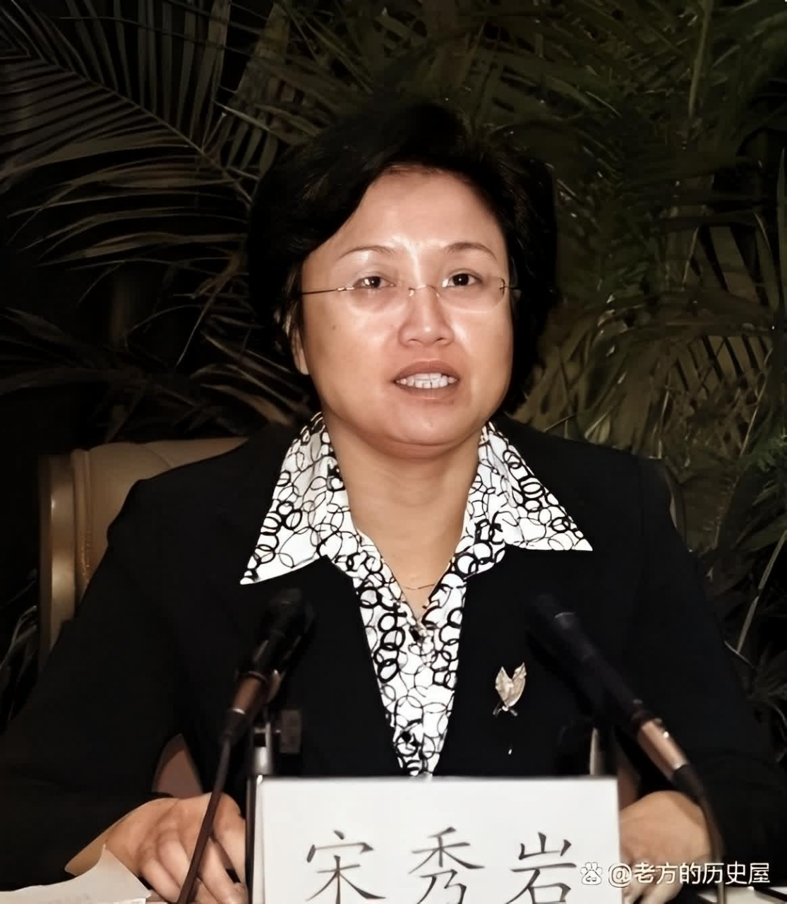 她叫宋秀岩,28岁当官,50岁青海第二女省长,如今66岁,仍贡献岗位.