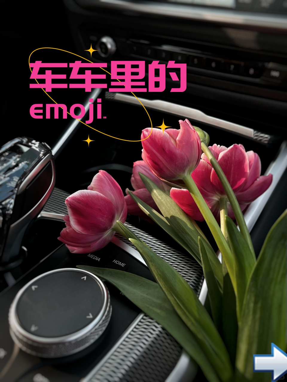 每次看到这些emoji,我都会想起与车车的美好时光