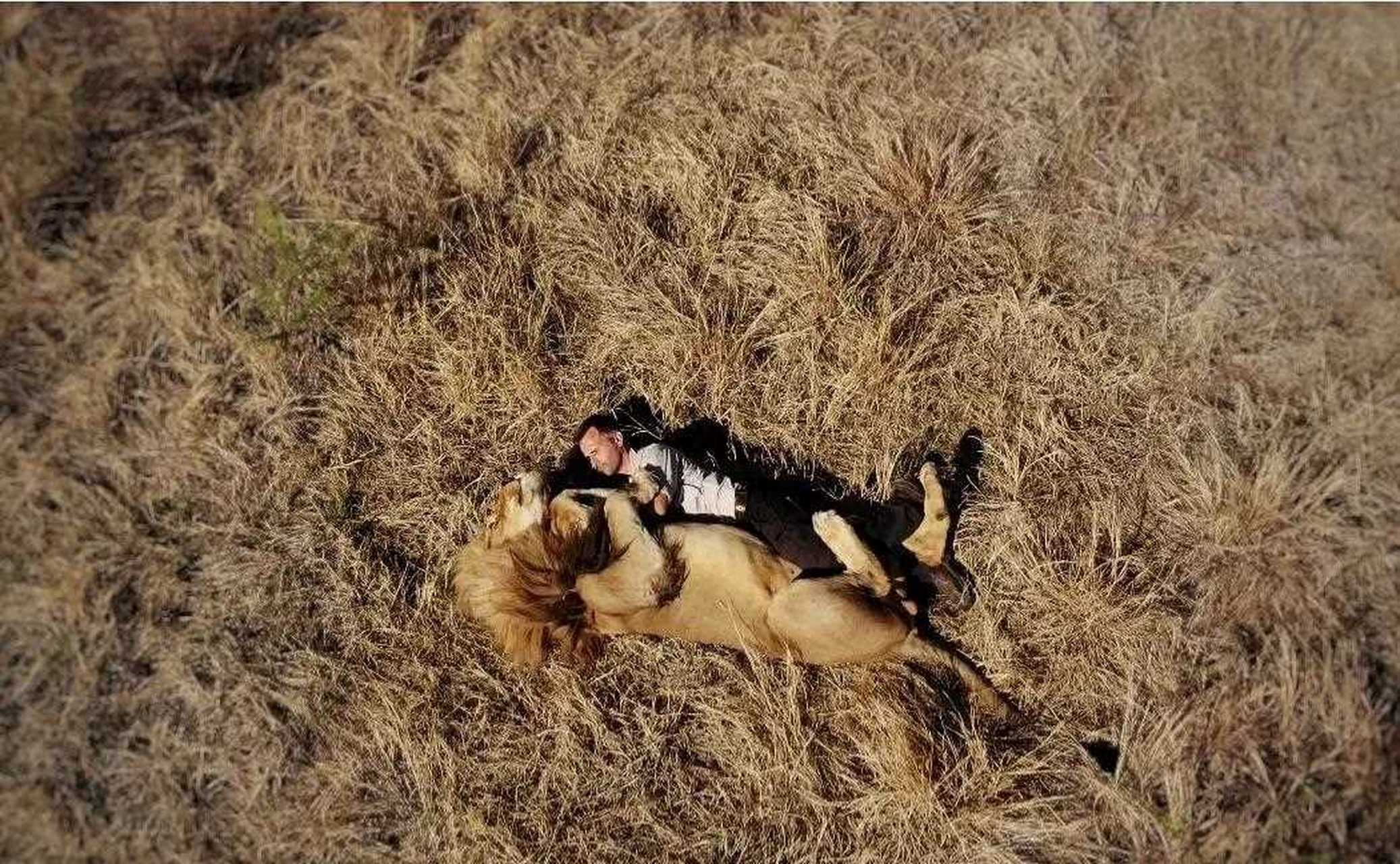 南非有个著名的狮语者叫kevin richardson , 前不久拜访了他.