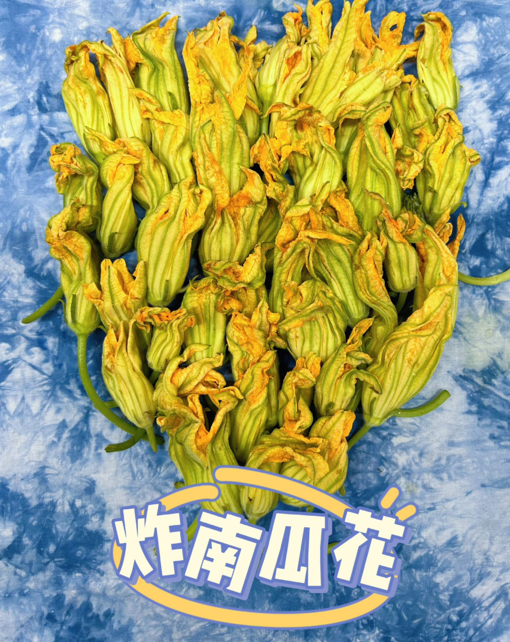 南瓜花雄花图片