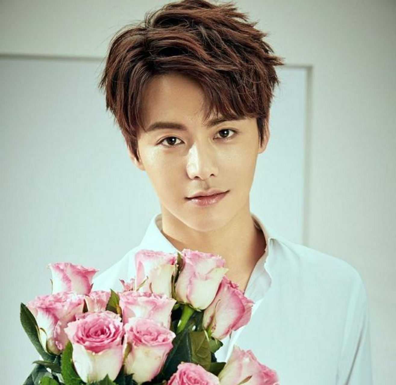 tcl全球品牌代言人 中国内地人气偶像 80后艺人马天宇