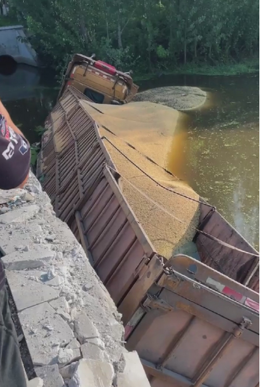 一车的黄豆,打窝天花板啊