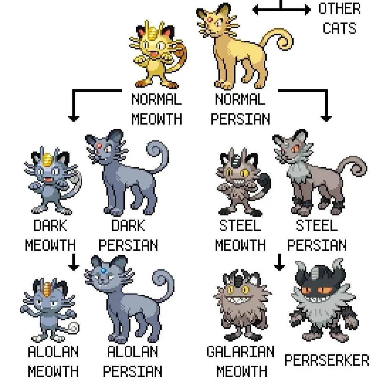 喵喵的进化图鉴 #精灵宝可梦# #动漫