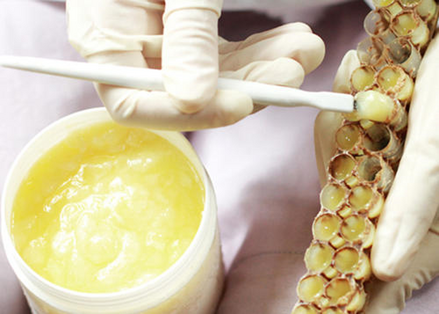 蜂王浆和蜂胶其实是"蜜蜂的口水"和"蜂巢的勾缝剂" 什么是蜂王浆?