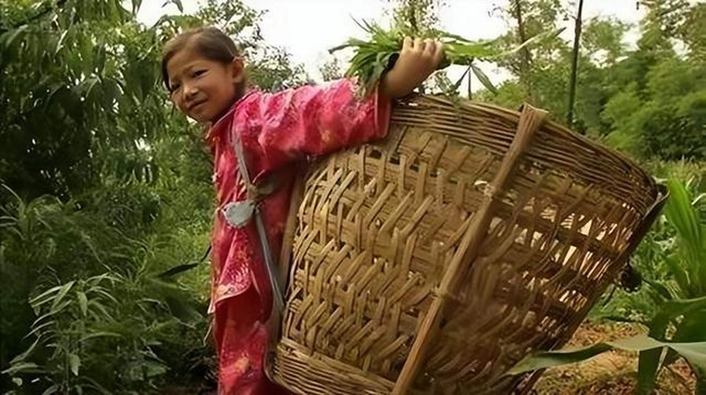 2005年,8岁养女佘艳患白血病后,为了给孩子看病,养父四处筹钱.