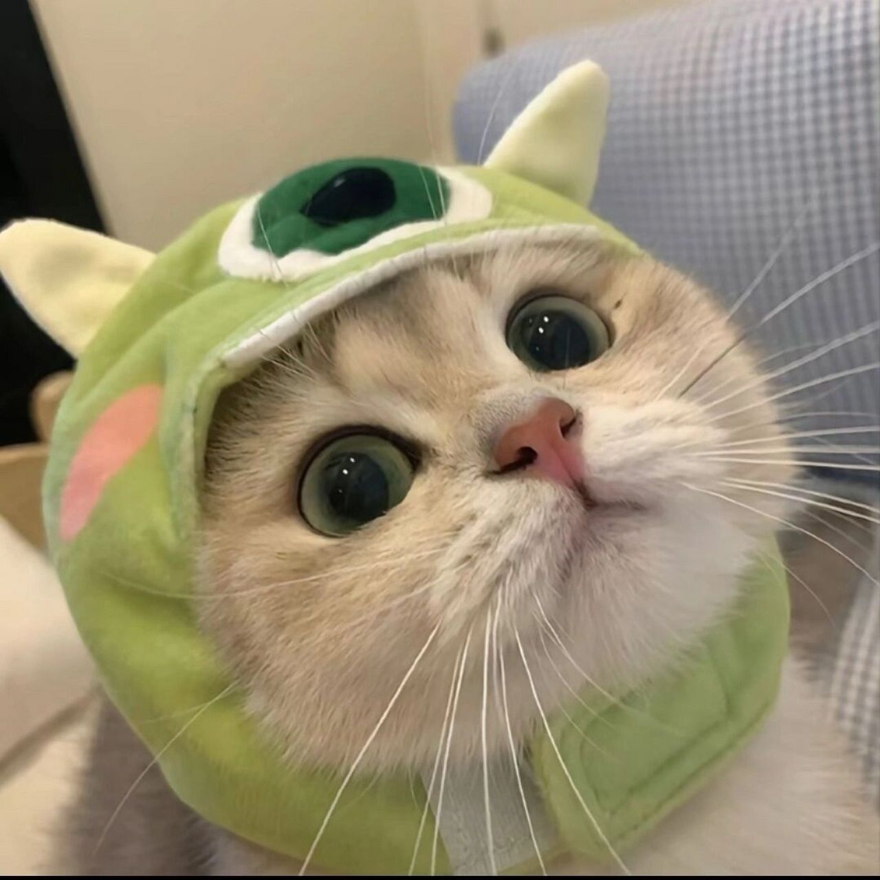 超可爱786178搞怪猫咪头像,别再错过啦!