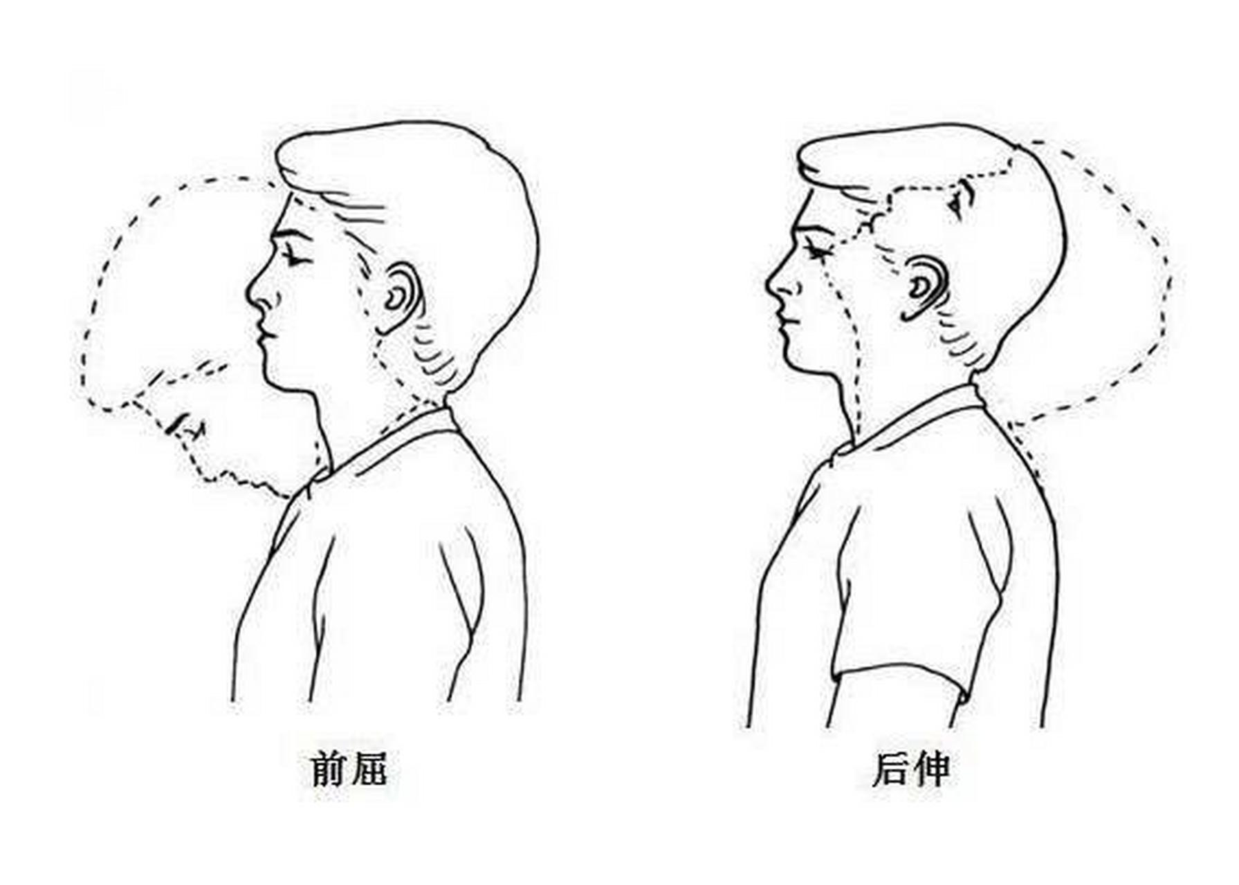 颈椎保健操分享   1,颈部肌肉锻炼.