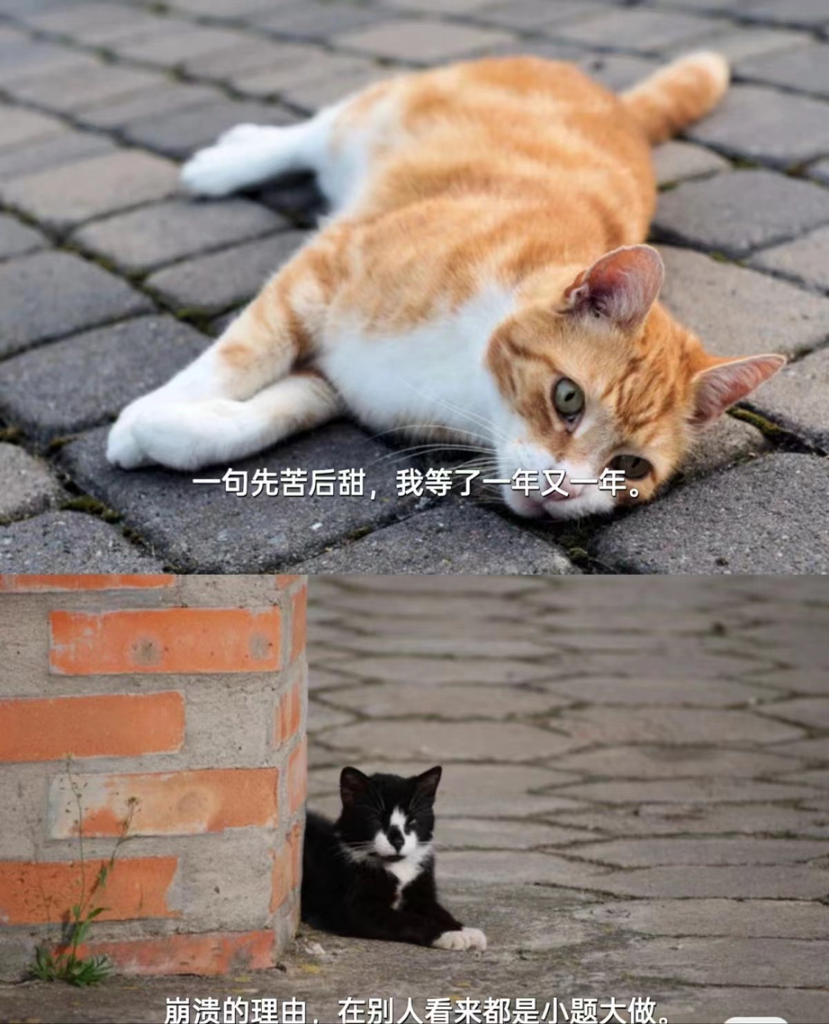 适合压力大的时候发的朋友圈文案
