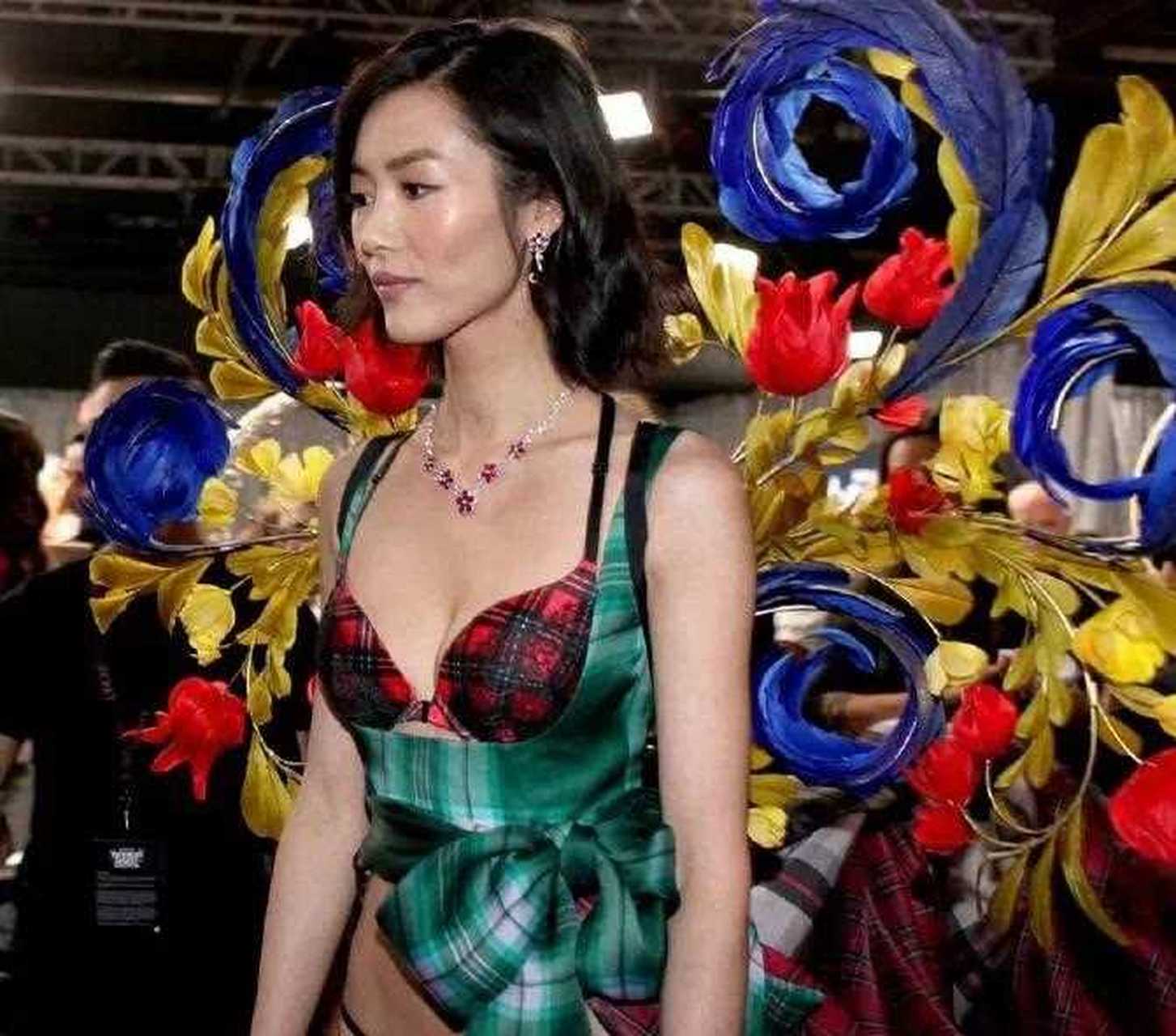 维秘刘雯第三对翅膀[羊驼]