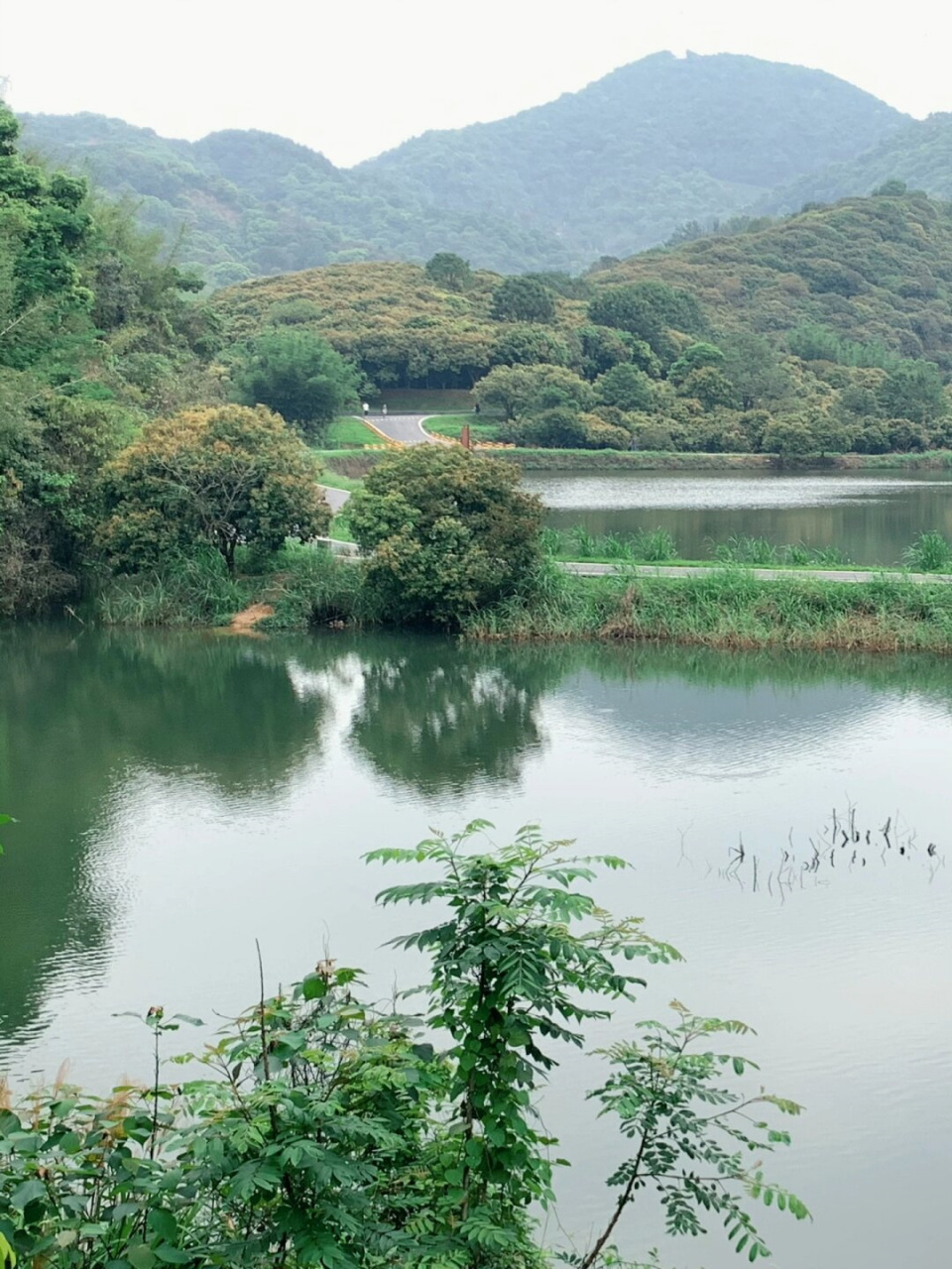 广州水声水库徒步环线开啦近地铁风景超美  亲水临山的绿植茂密,这里
