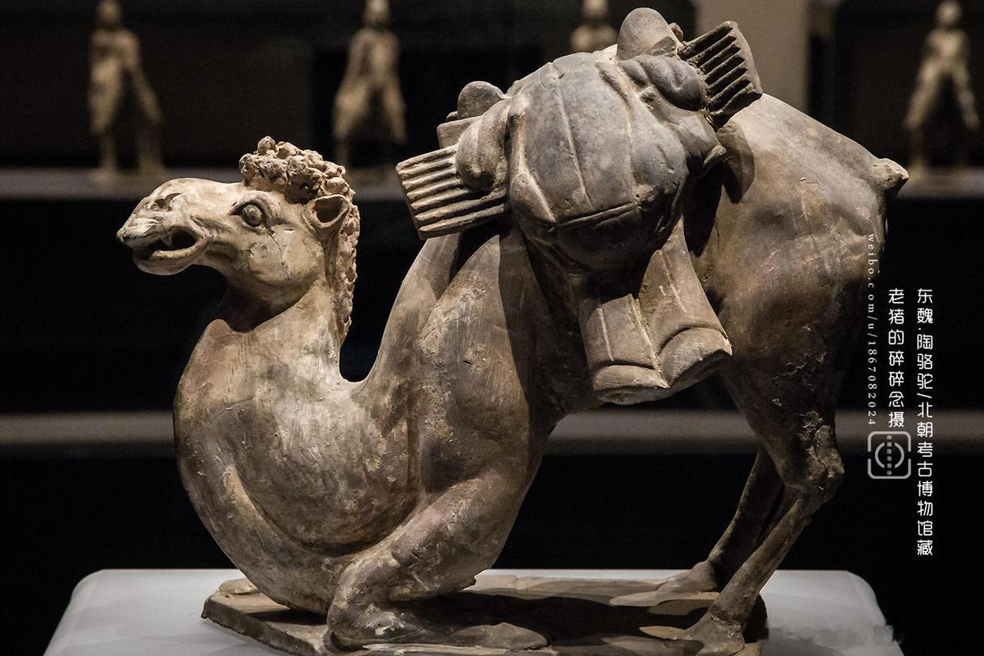 北朝博物馆的镇馆之宝|东魏.