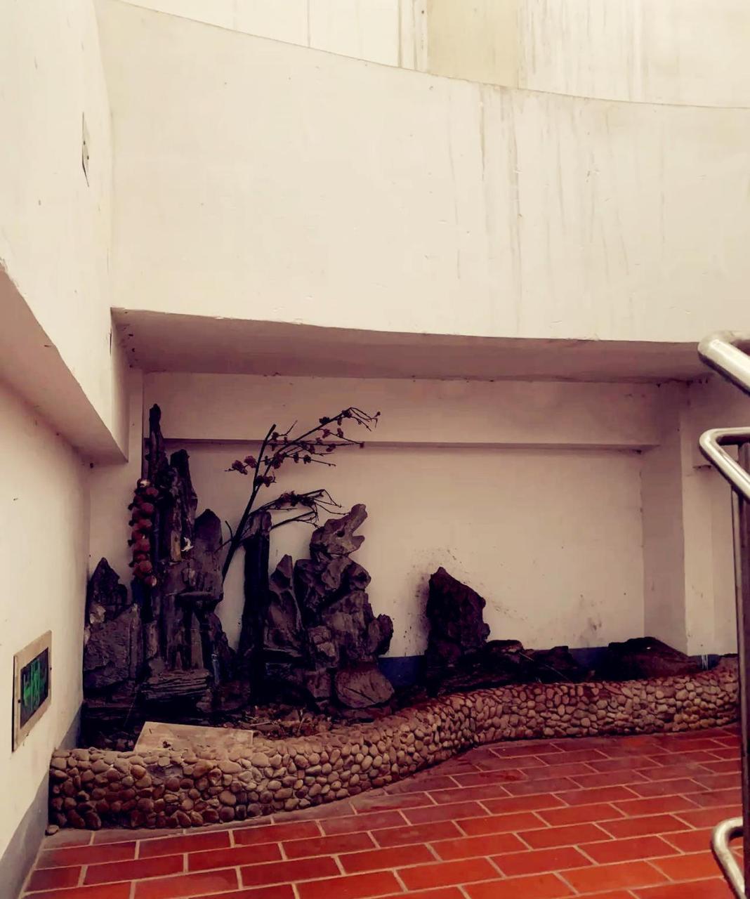 邻居在楼梯过道建了个假山,我不知道它的用途是什么,总感觉还会碍手碍