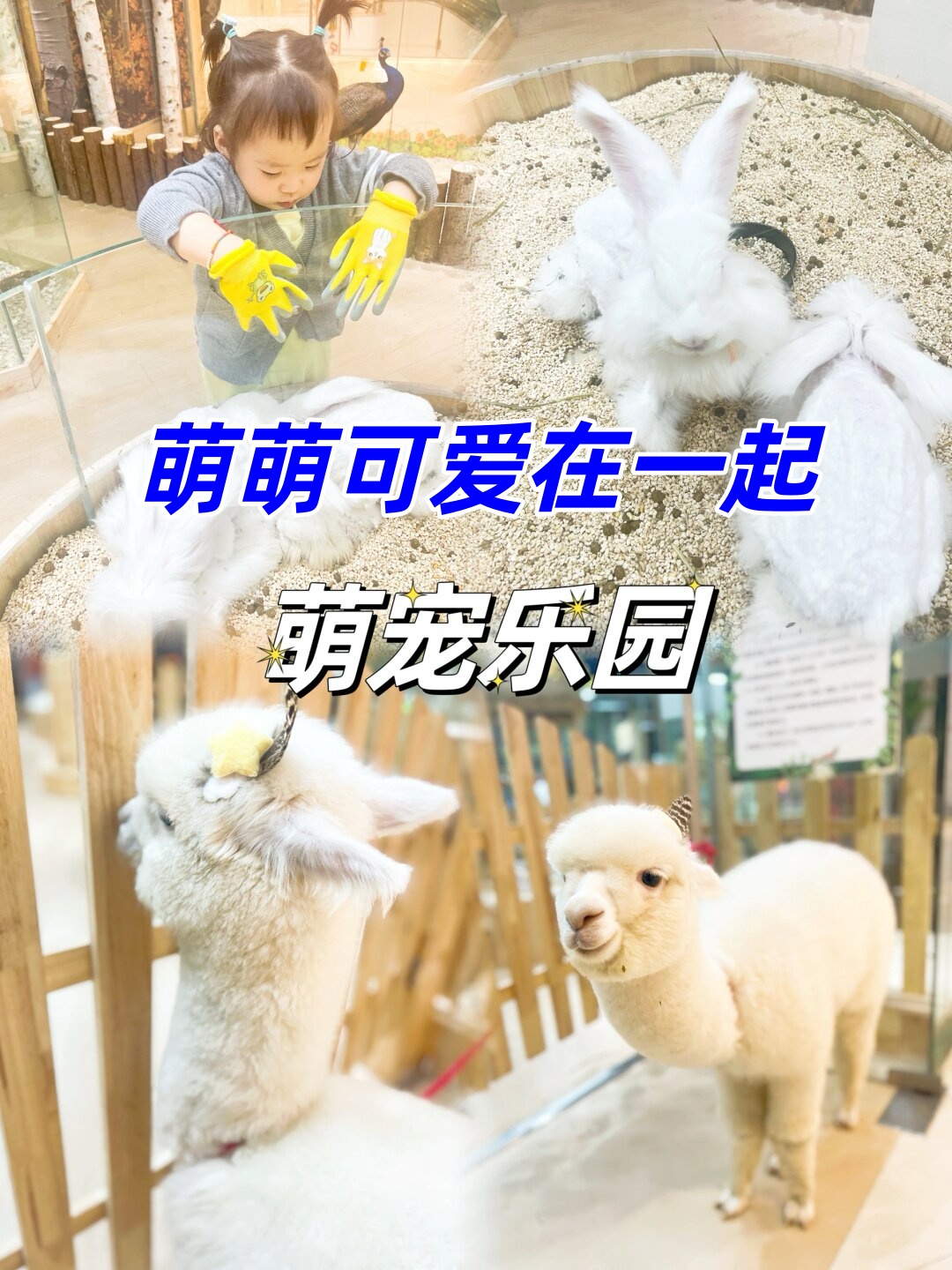 我看到这个宝宝真的觉得他太可爱了