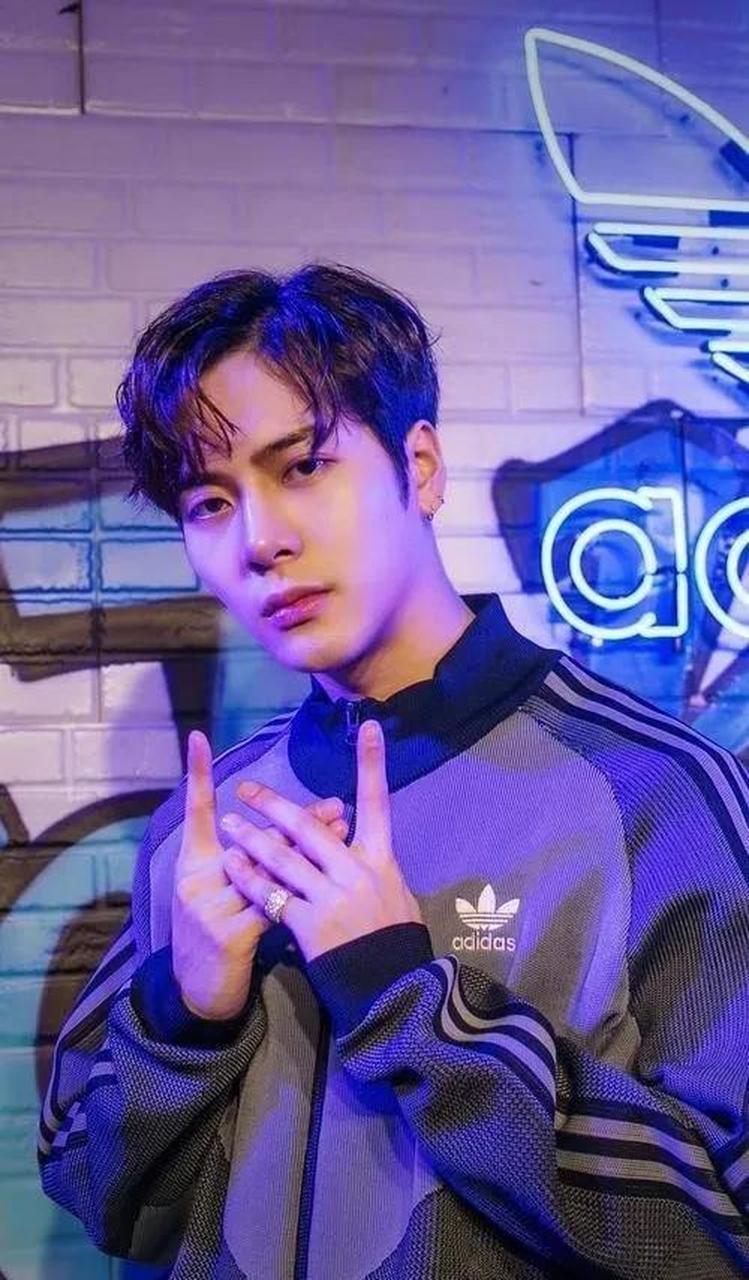 中国香港流行乐歌手,主持人王嘉尔