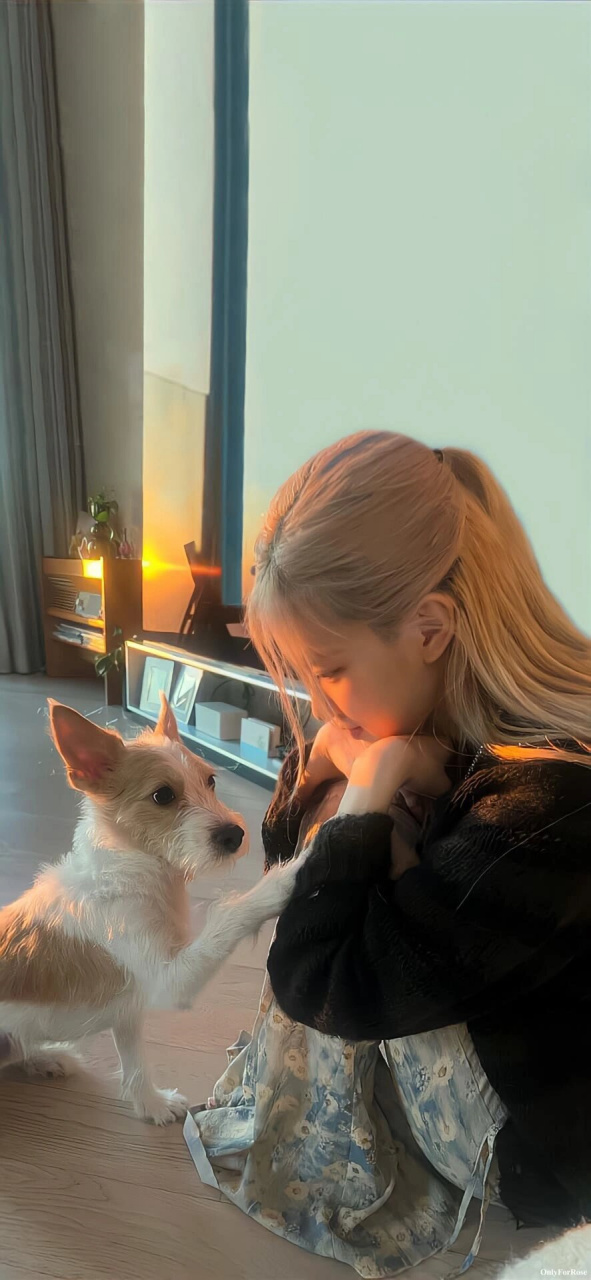 rose壁纸,展现你的独特魅力  尽管生活中总会有一些风雨,但我始终坚信