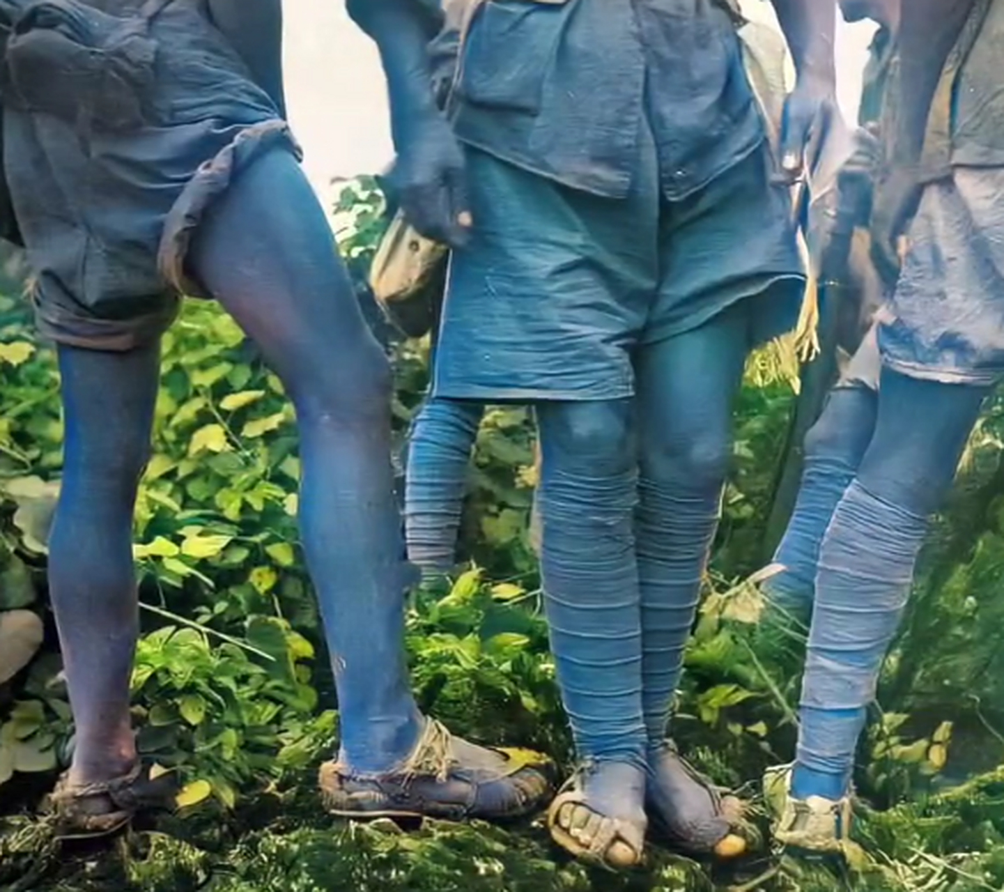 这是真实的红军打仗时每天要穿的草鞋,外表看着平淡无奇,这些鞋子都是