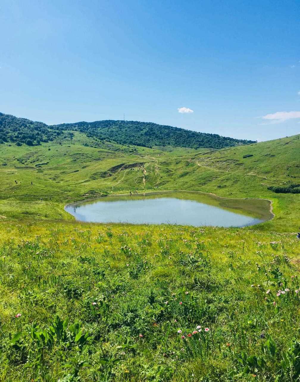 析城山圣王坪图片