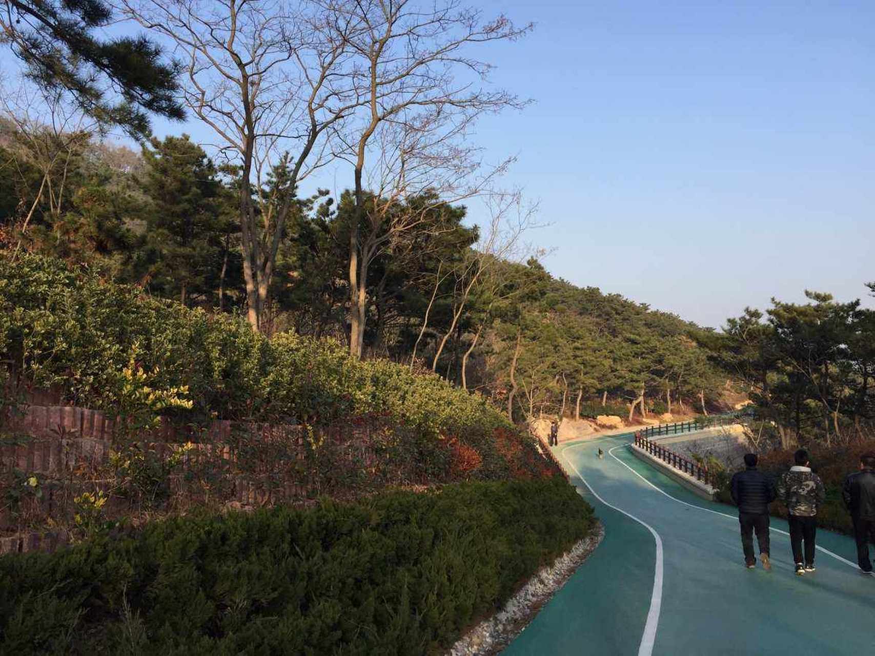 青岛网红打卡地#  位于山东省青岛市崂山区浮山森林公园,当地人将它