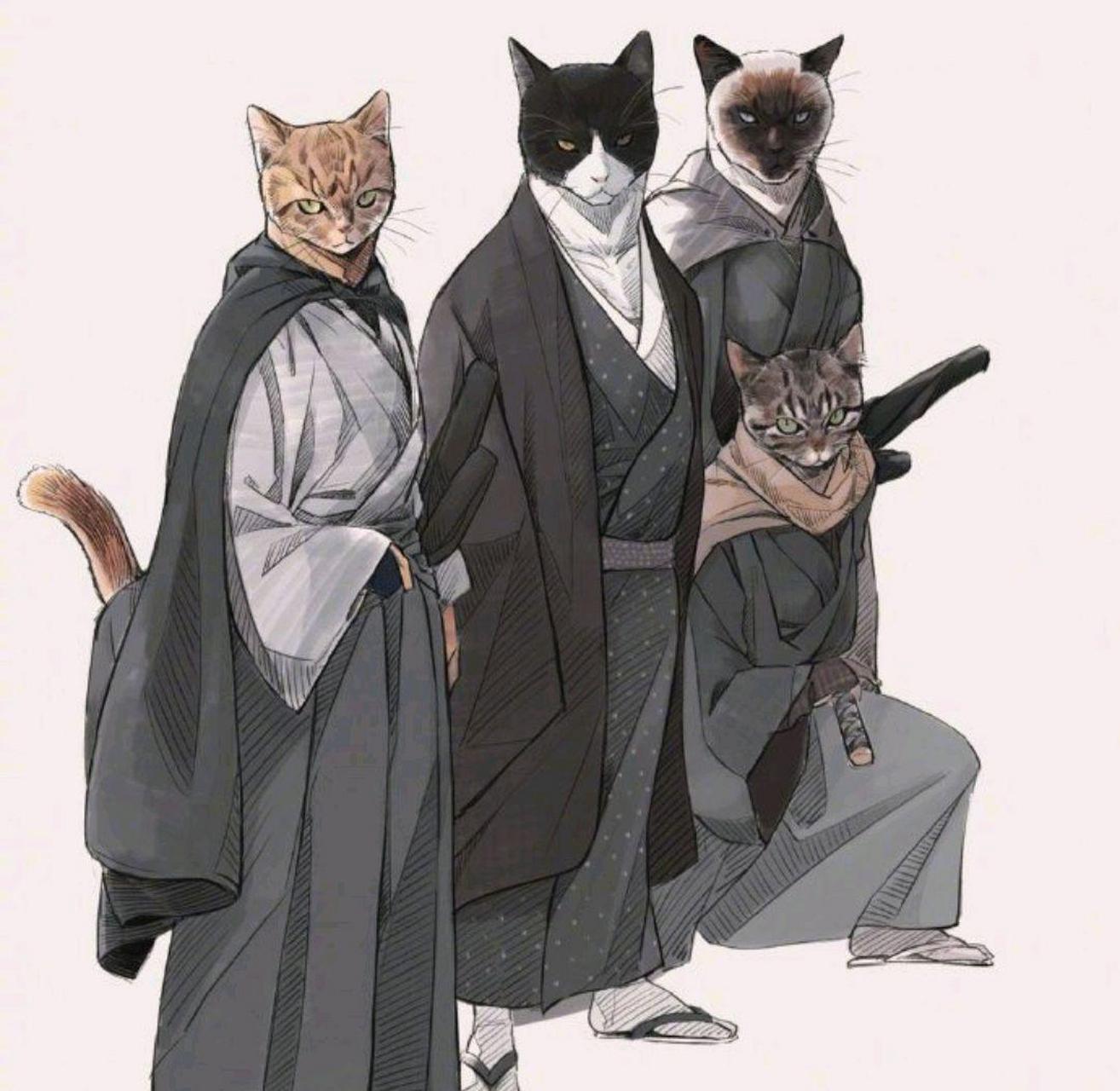 网友把街头四大恶猫画成了武士风,莫名有点帅气![喵喵] 67