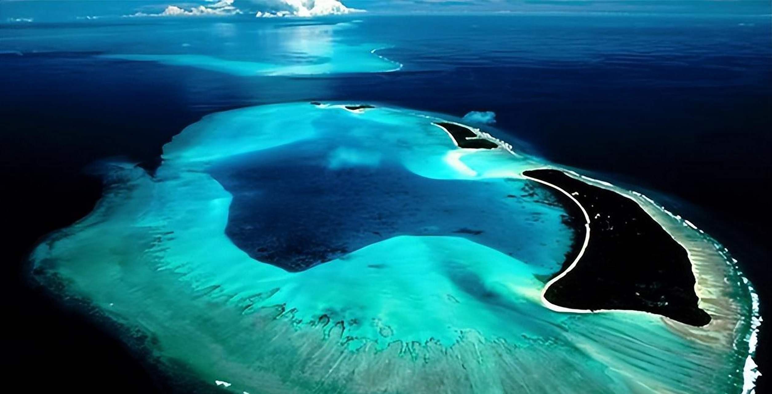 大有学问# 马尾藻海是一片神秘而危险的海域,在这里,马尾藻连绵不绝