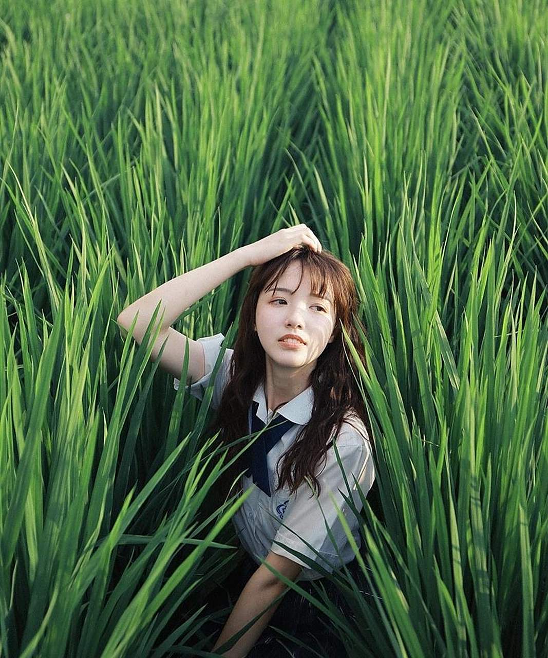 西河町畔唯美的校服少女~ #中国版chatgpt来了# #娱乐