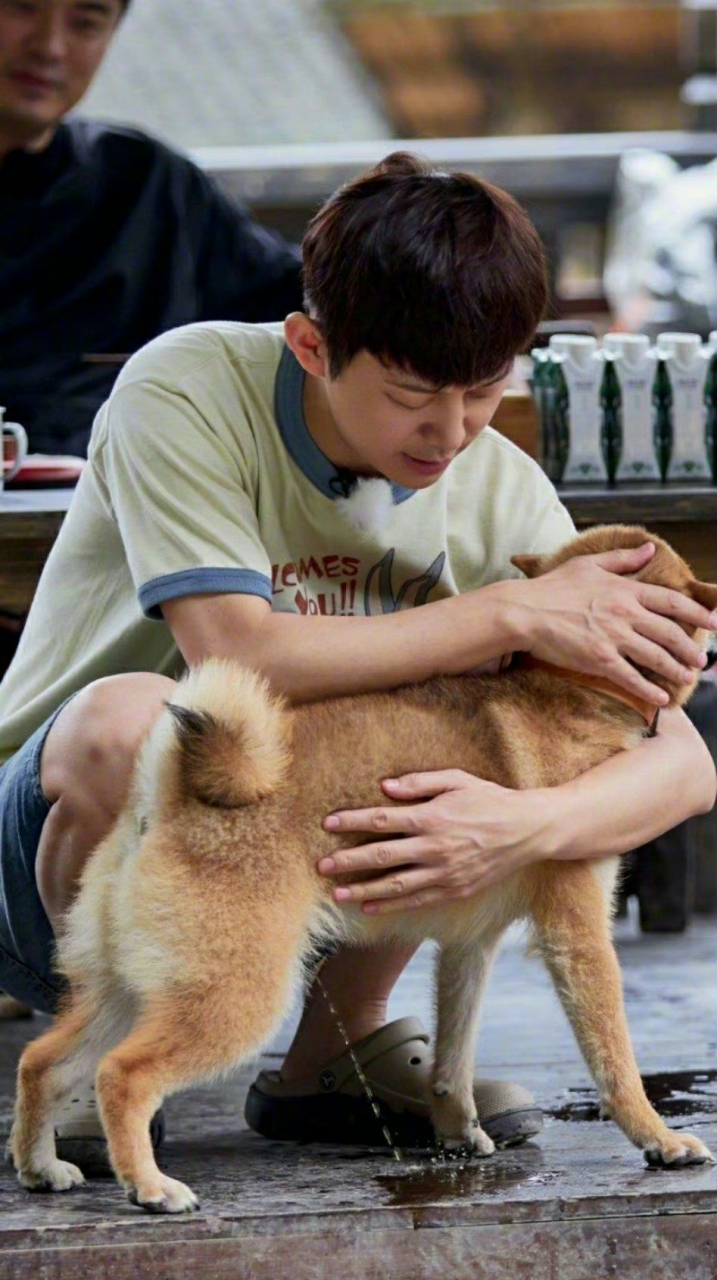 一些明星的神级错位图《王嘉尔不雅露出》《何炅当众撒尿》《辫子王