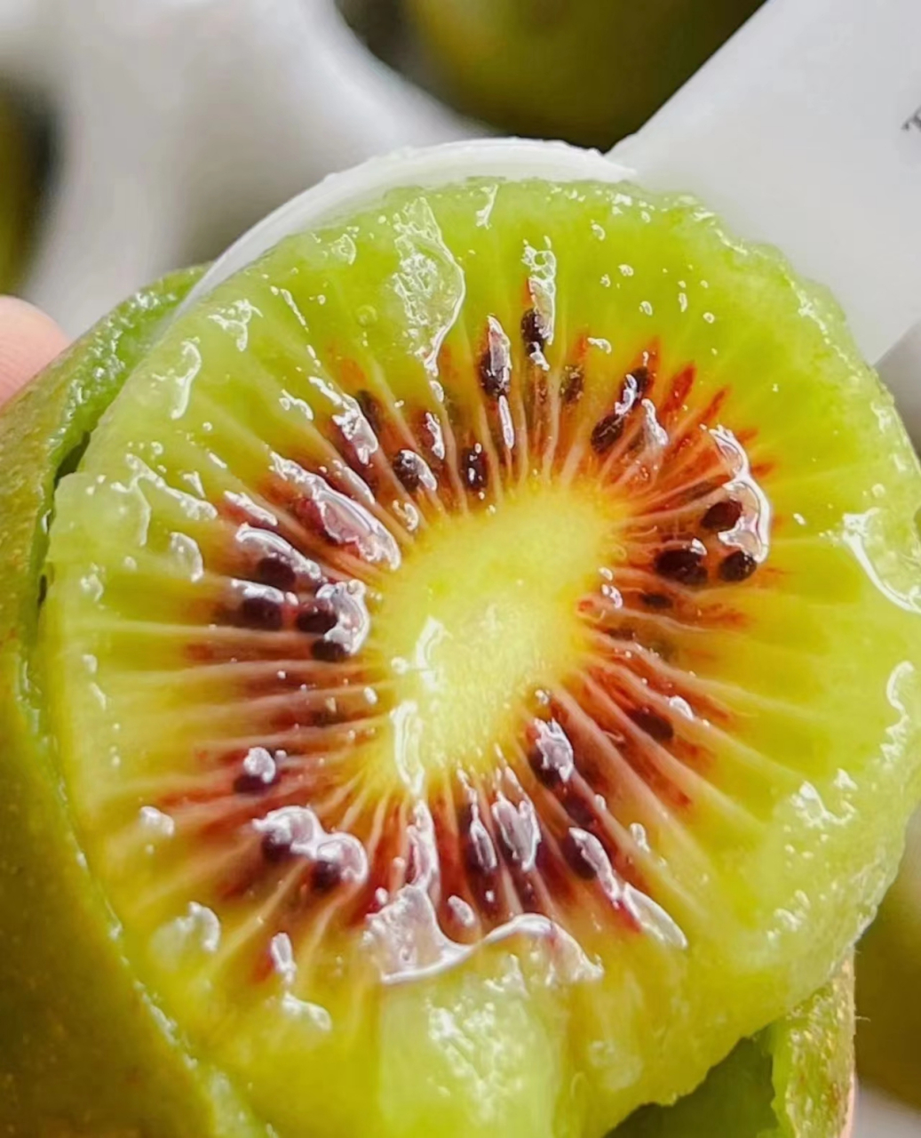新鲜采摘的红心猕猴桃 让你体验水果的极致美味  绿皮红肉的独特外观