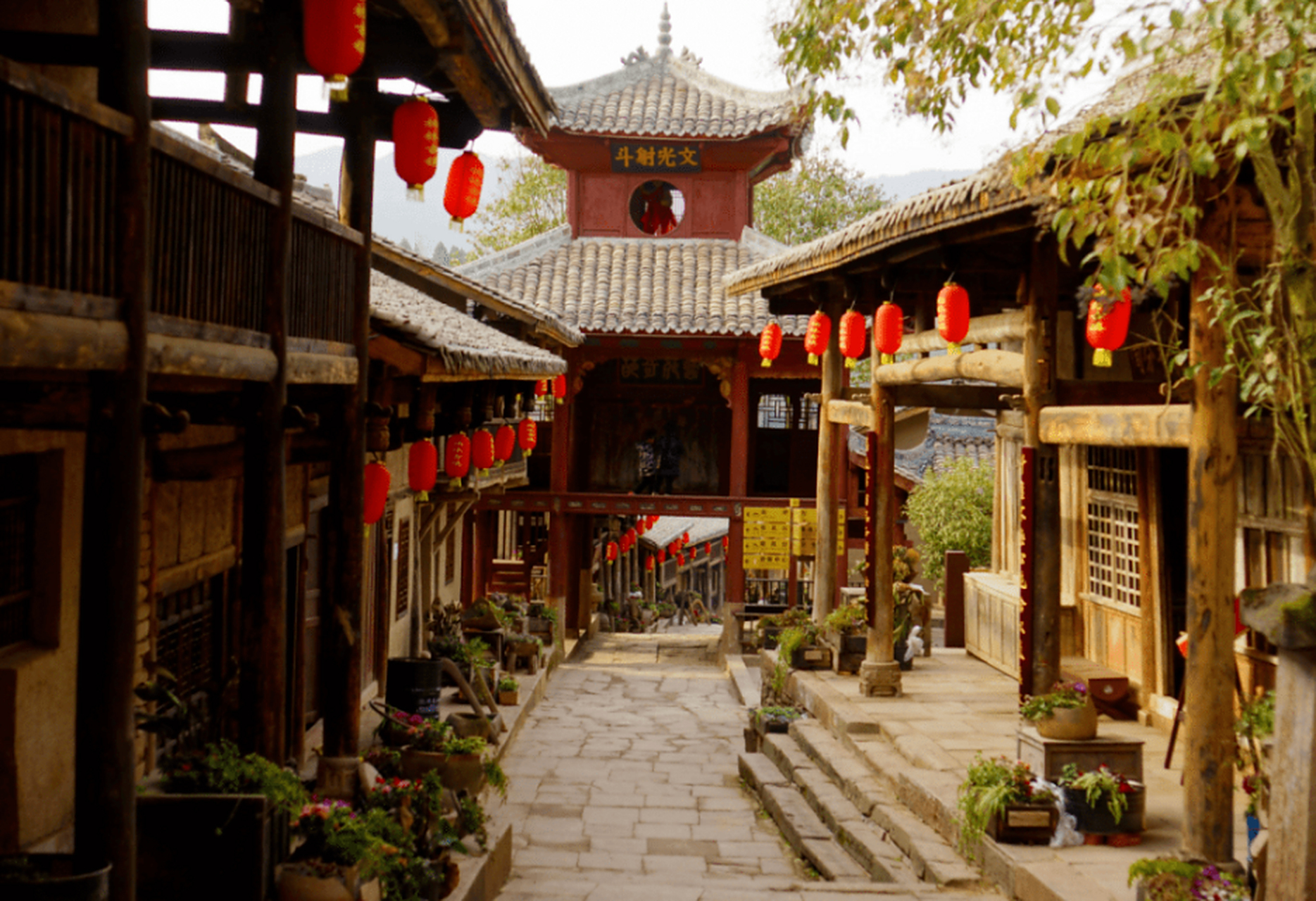 青川县城战国木文化生态园,是一座精致而婉约的小县城,"四周苍翠驻